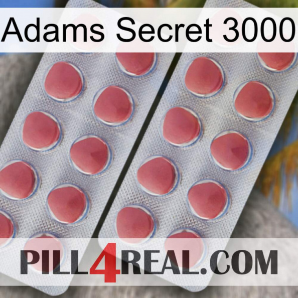 Adams Secret 3000 19.jpg